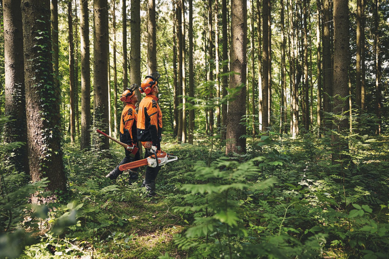 STIHL history