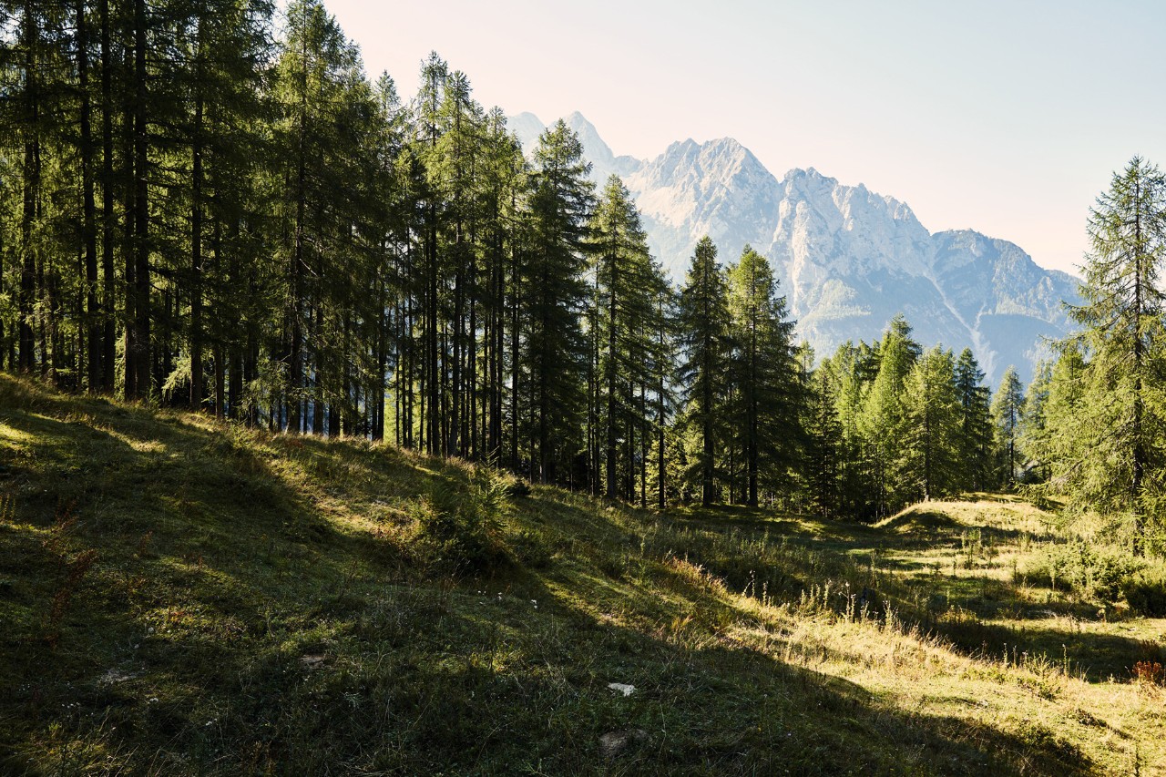 Environmental protection